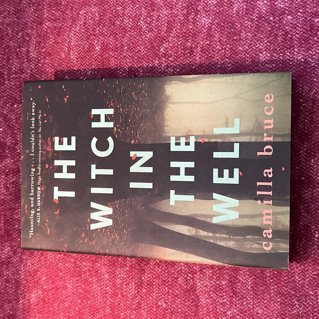 The Witch in the Well