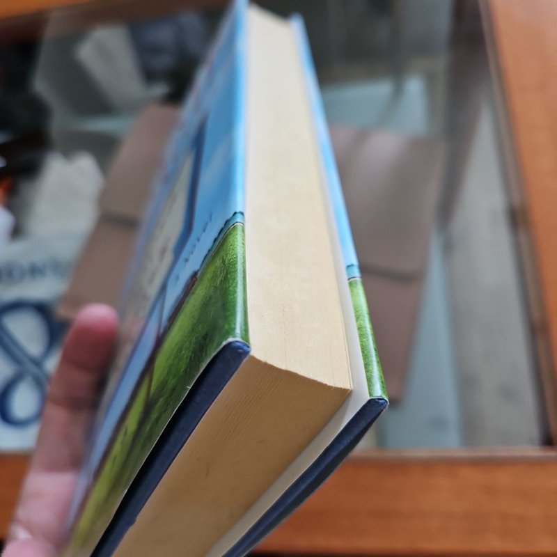 The Wonder Boy of Whistle Stop