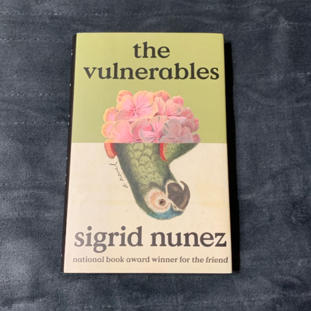 The Vulnerables (new)