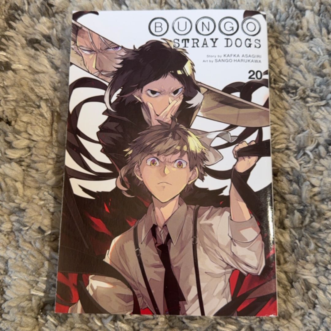 Bungo Stray Dogs, Vol. 20