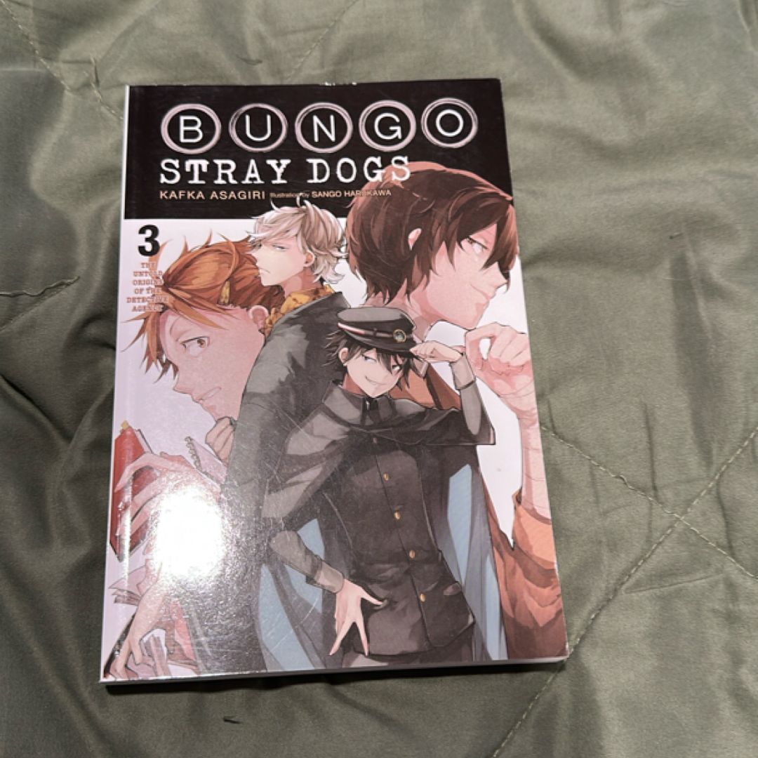 Bungo Stray Dogs, Vol. 3 (light Novel)