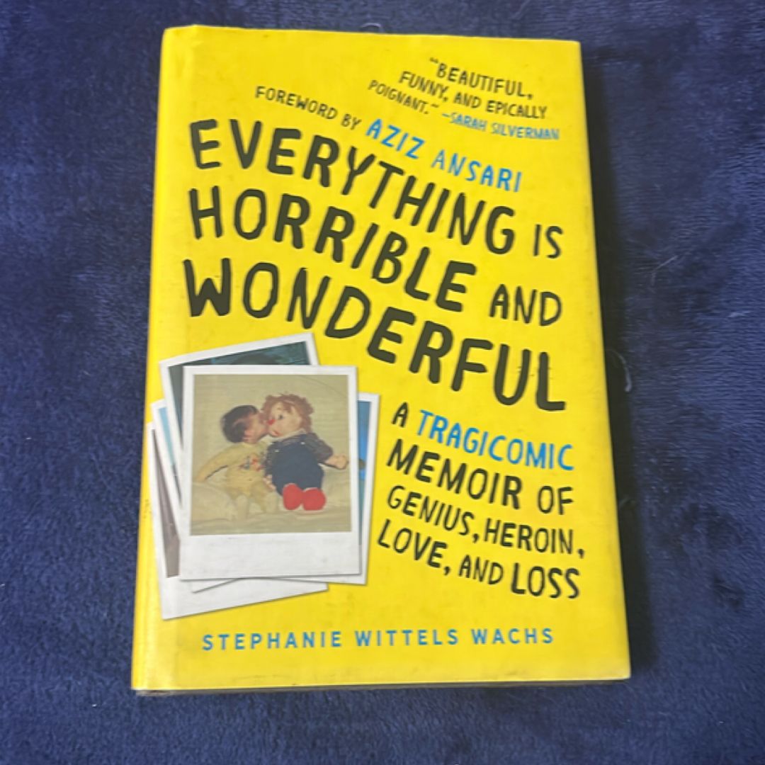 Everything Is Horrible and Wonderful