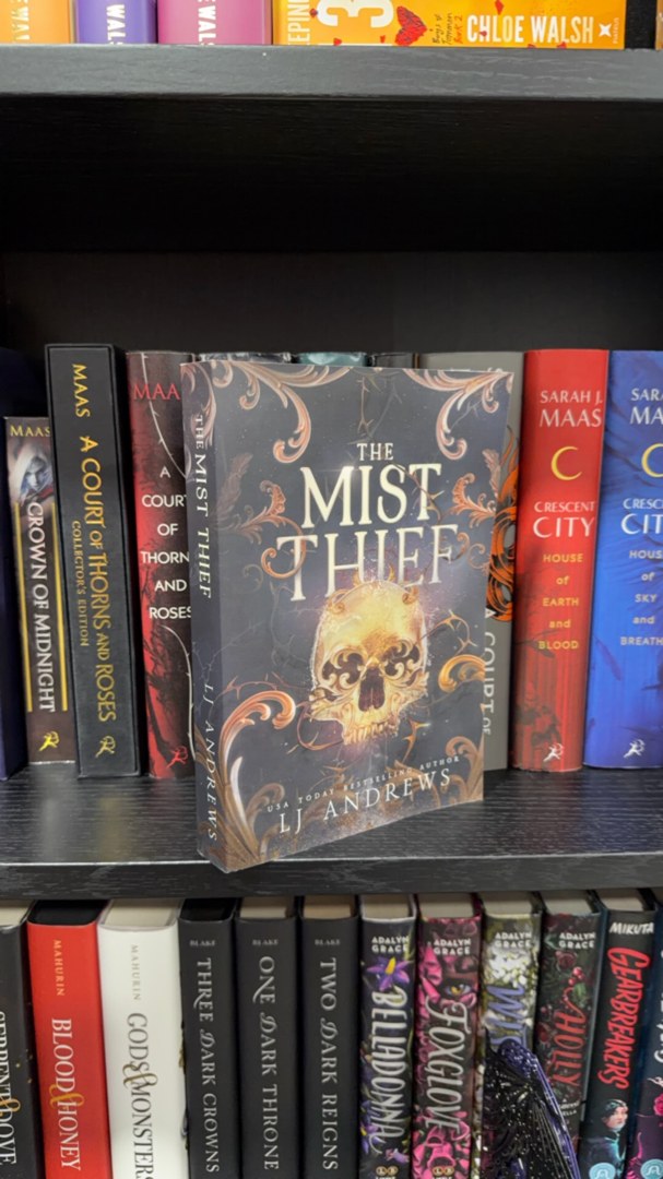 The Mist Thief