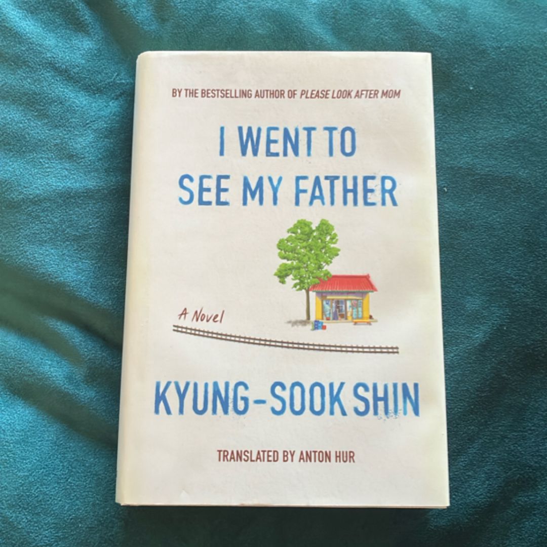 I Went to See My Father