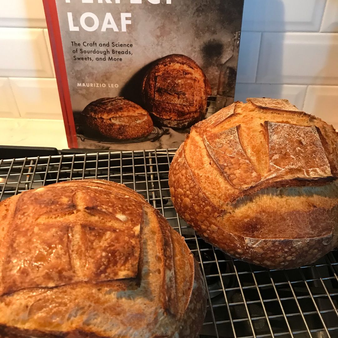 B is for Bookworm📚