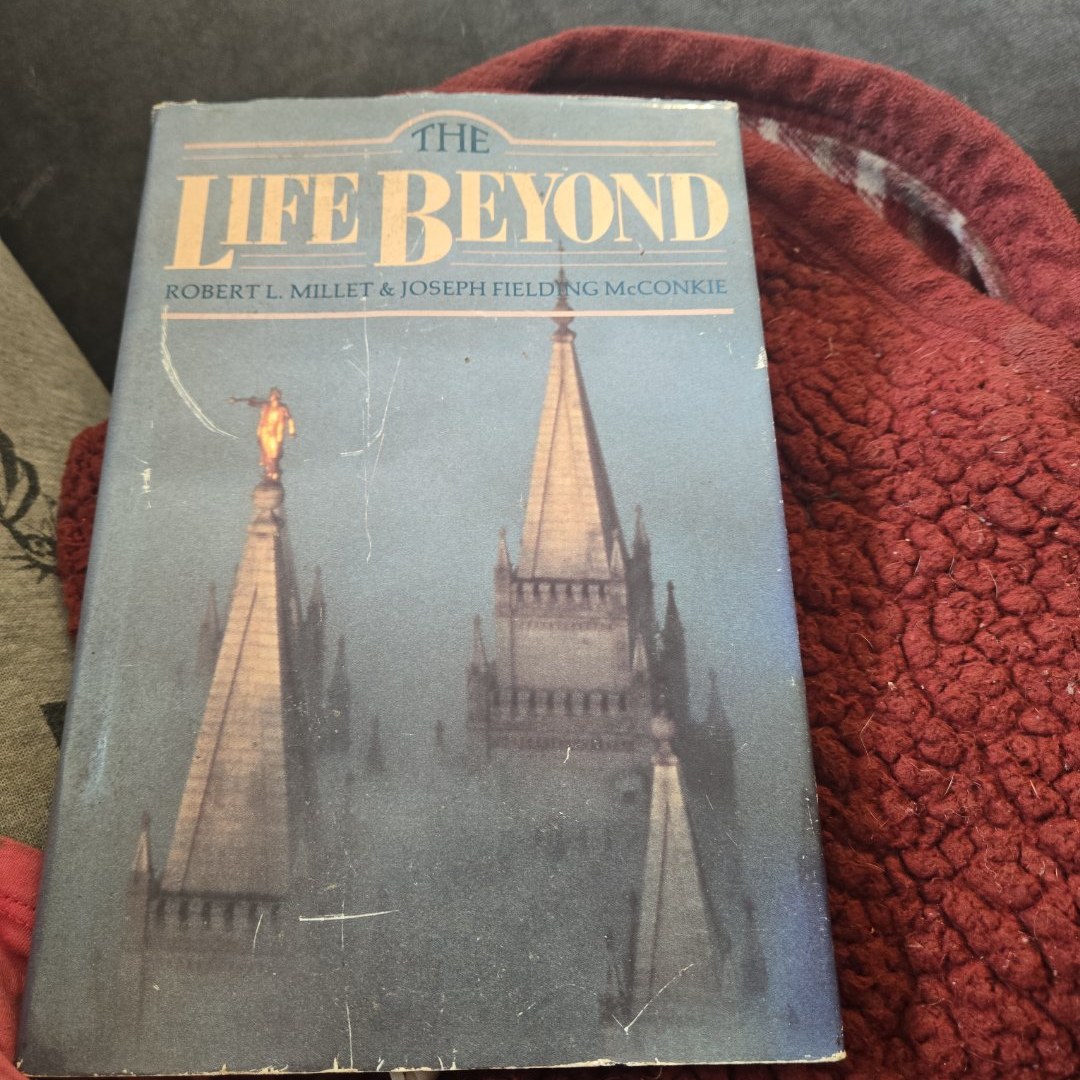 The Life Beyond