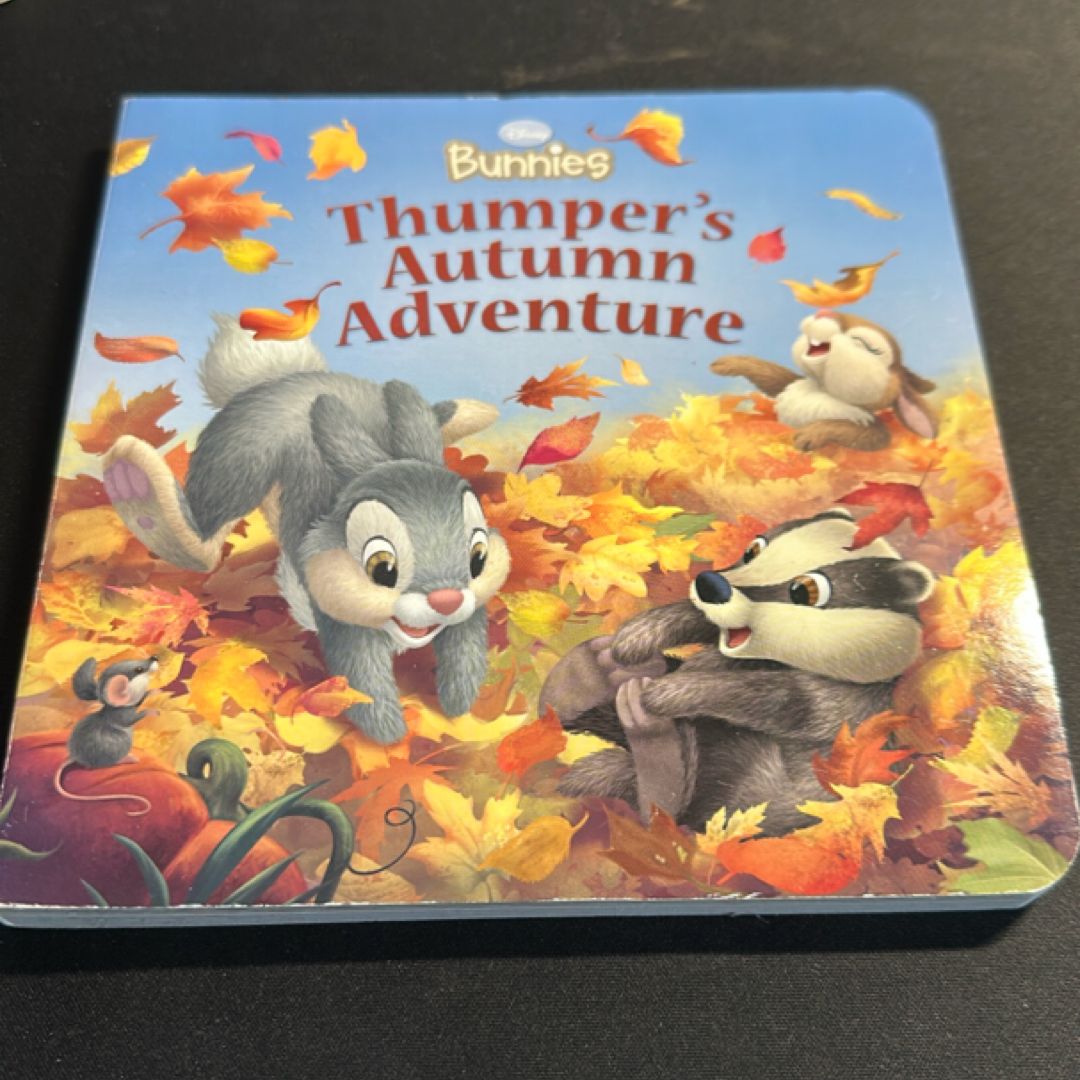 Disney Bunnies Thumper's Autumn Adventure