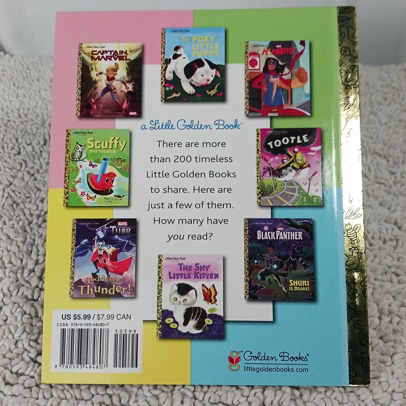 Meet the Marvels (Marvel)