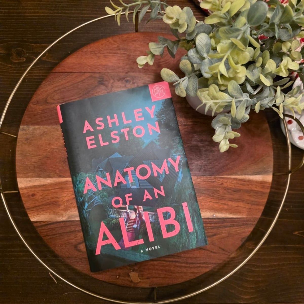 Anatomy of an Alibi by Ashley Elston, Hardcover | PangoBooks