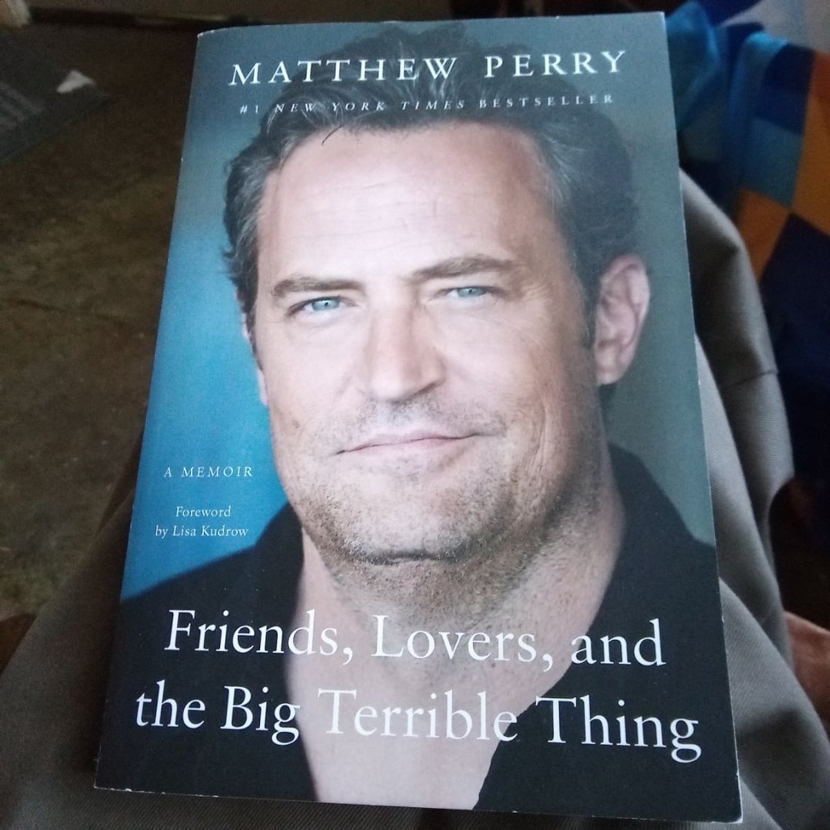 Friends, Lovers, and the Big Terrible Thing by Matthew Perry; Lisa ...