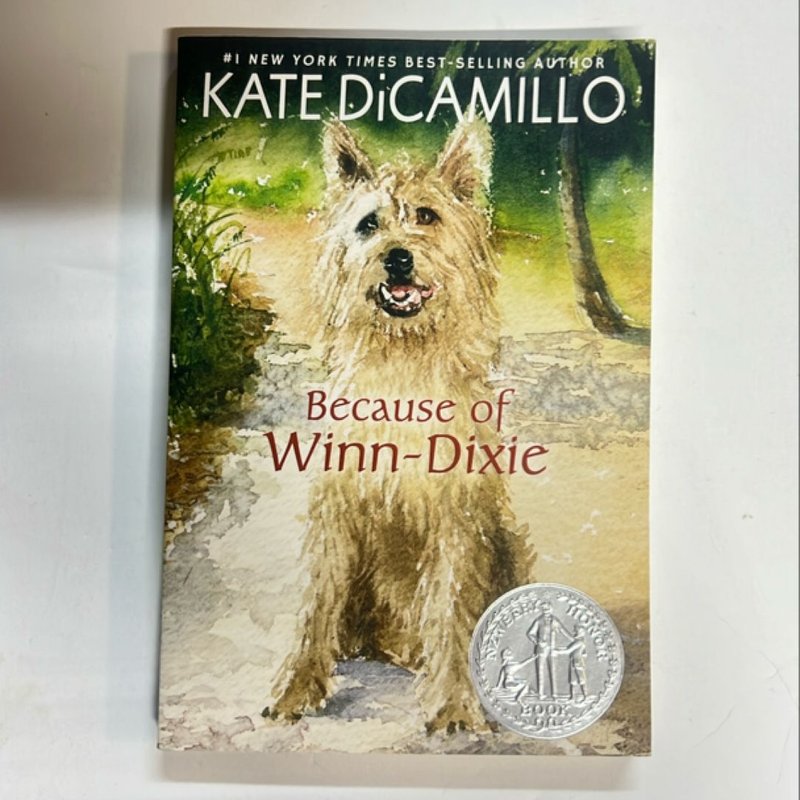 Because of Winn-Dixie