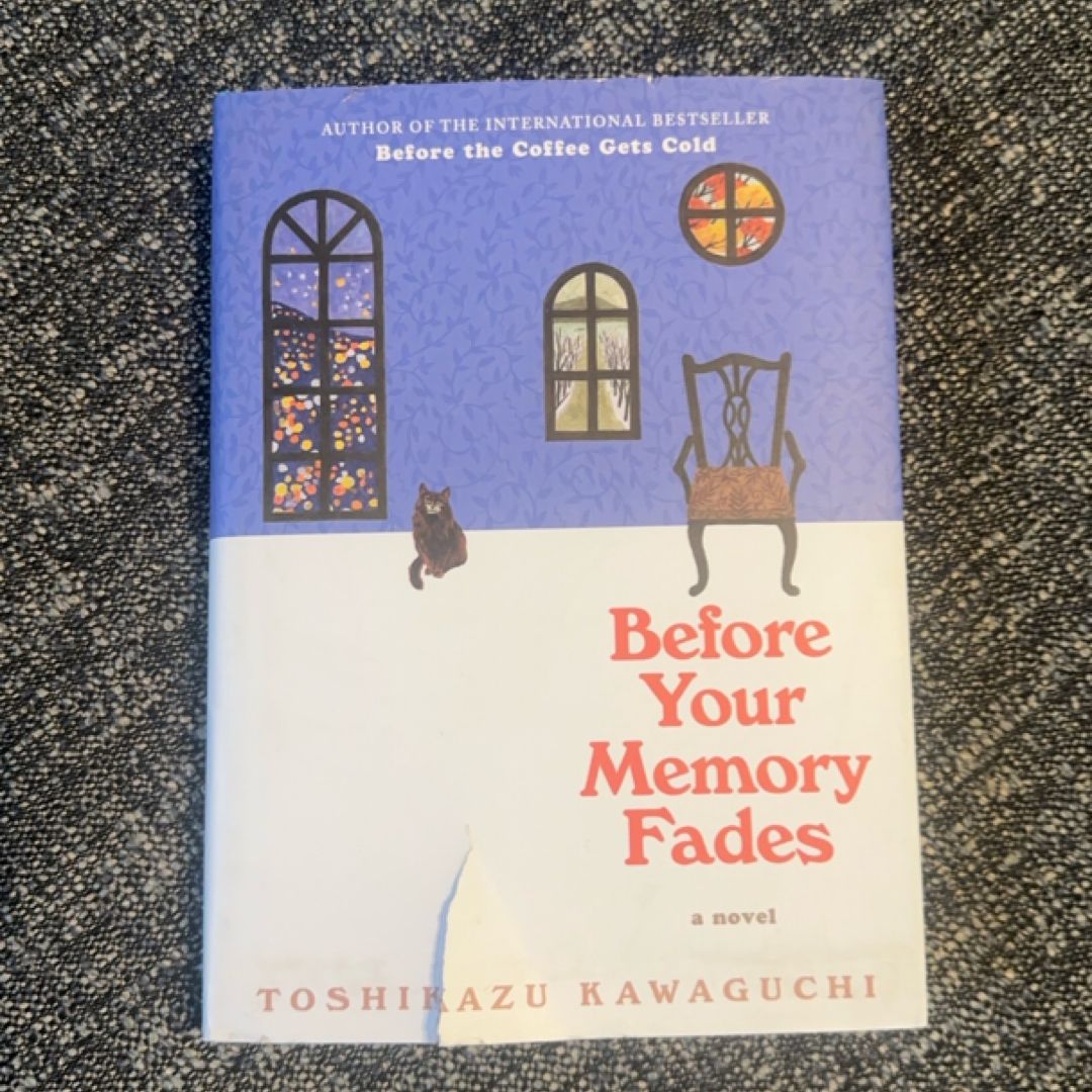 Before Your Memory Fades