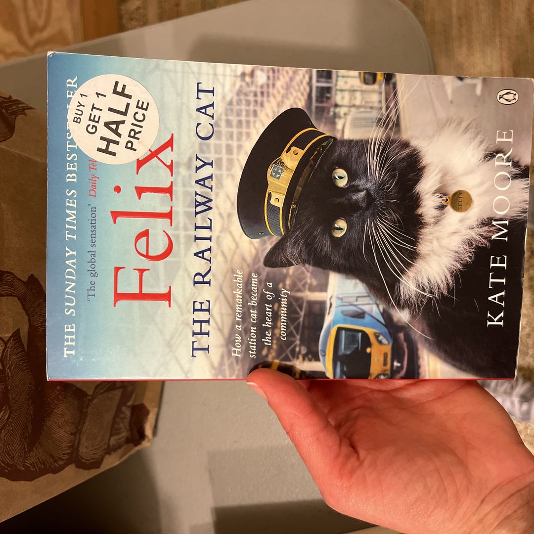 Felix the Railway Cat