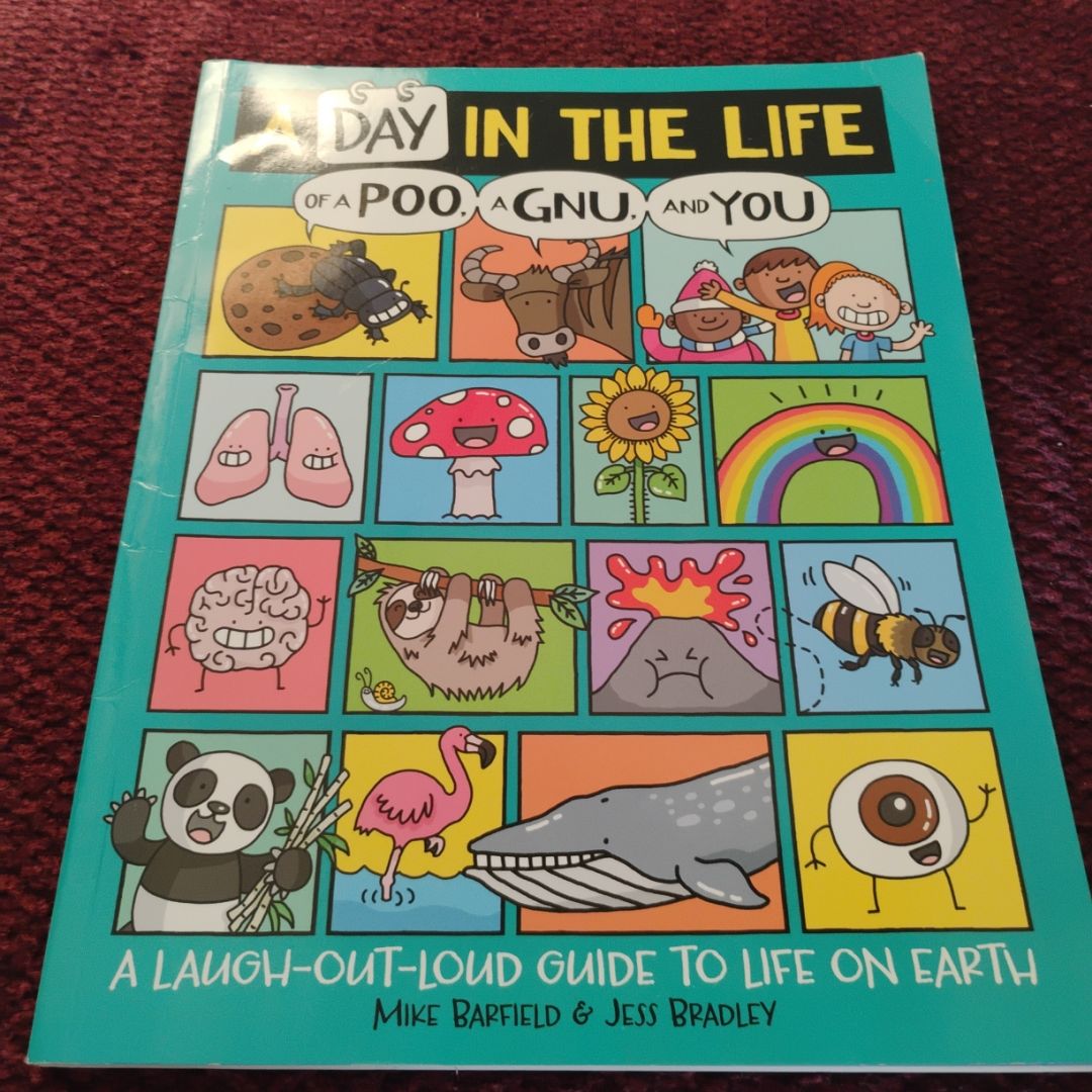 A Day in the Life of a Poo, a Gnu, and You