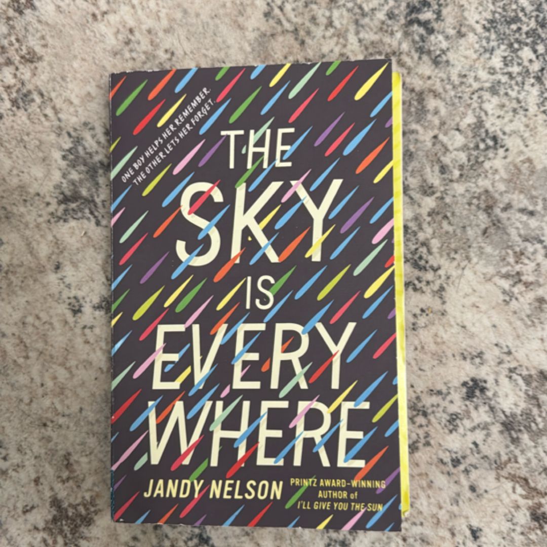 The Sky Is Everywhere