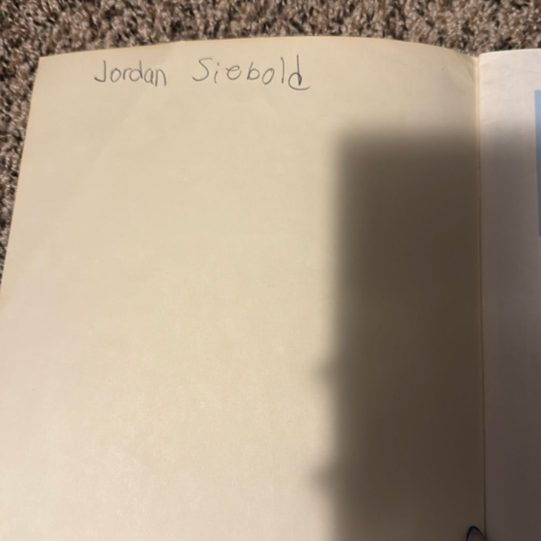 Disney's The Lion King