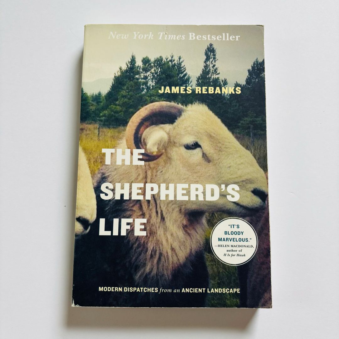 The Shepherd's Life