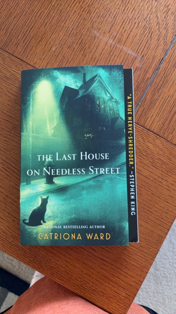 The Last House on Needless Street