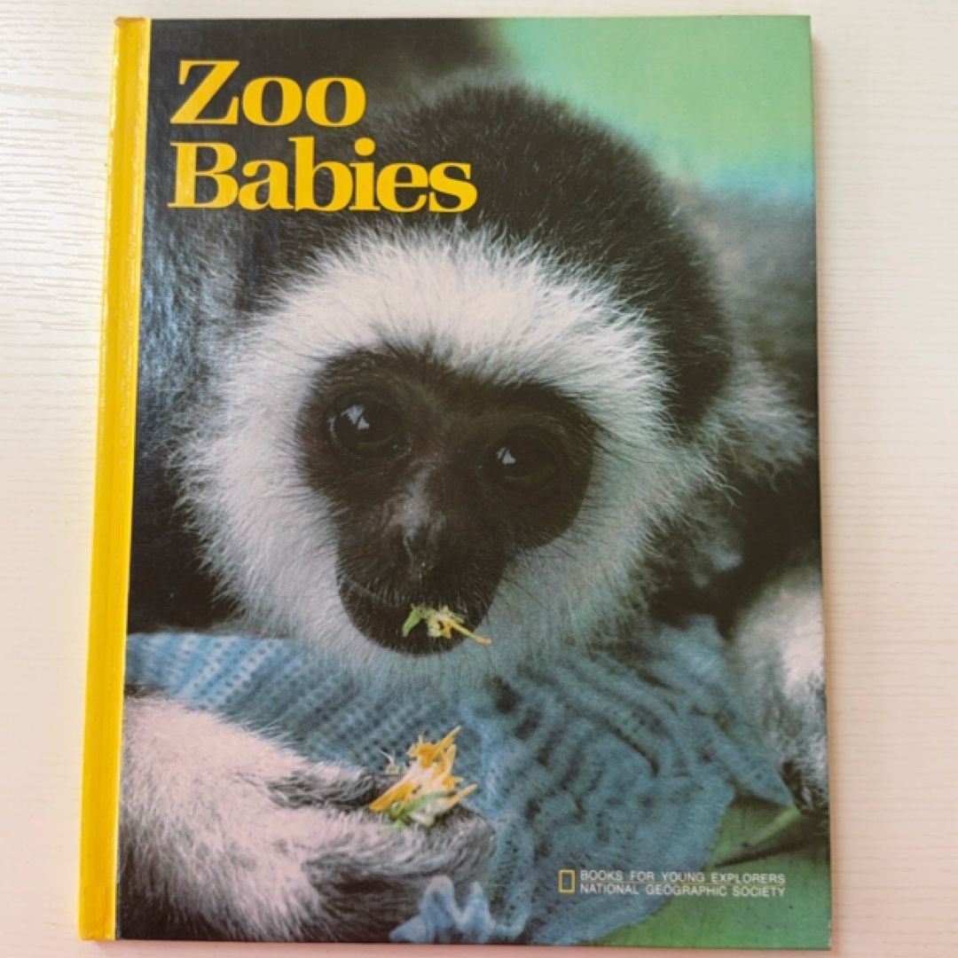 Zoo Babies
