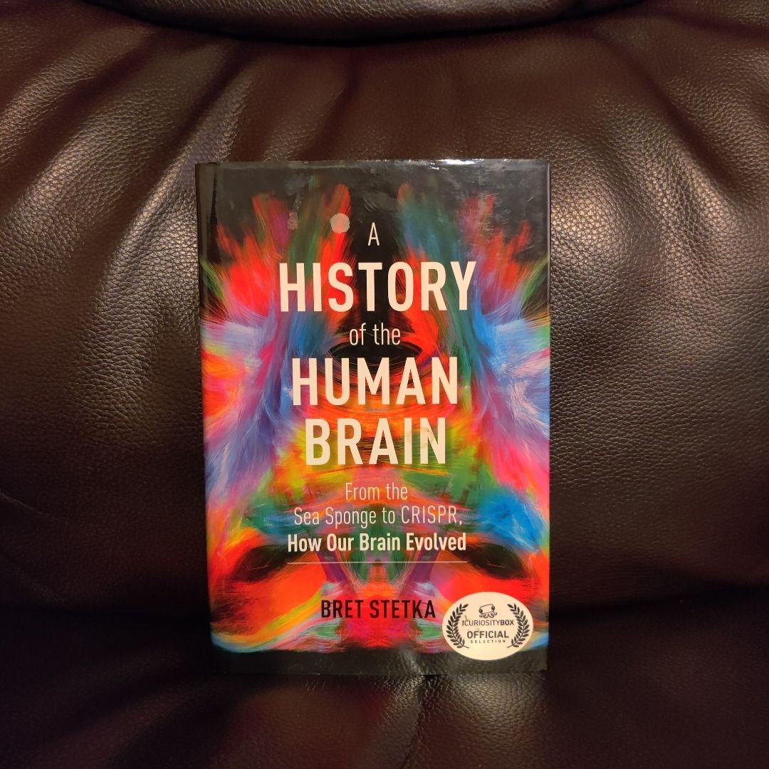 A History Of The Human Brain: From The Sea Sponge To Crispr, How Our Brain Evolved