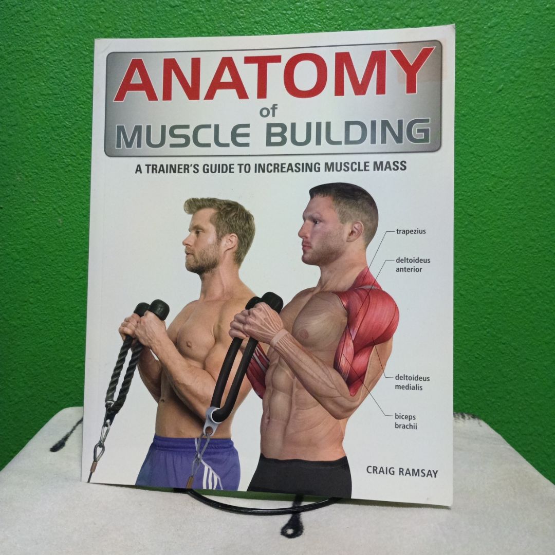 Anatomy of Muscle Building