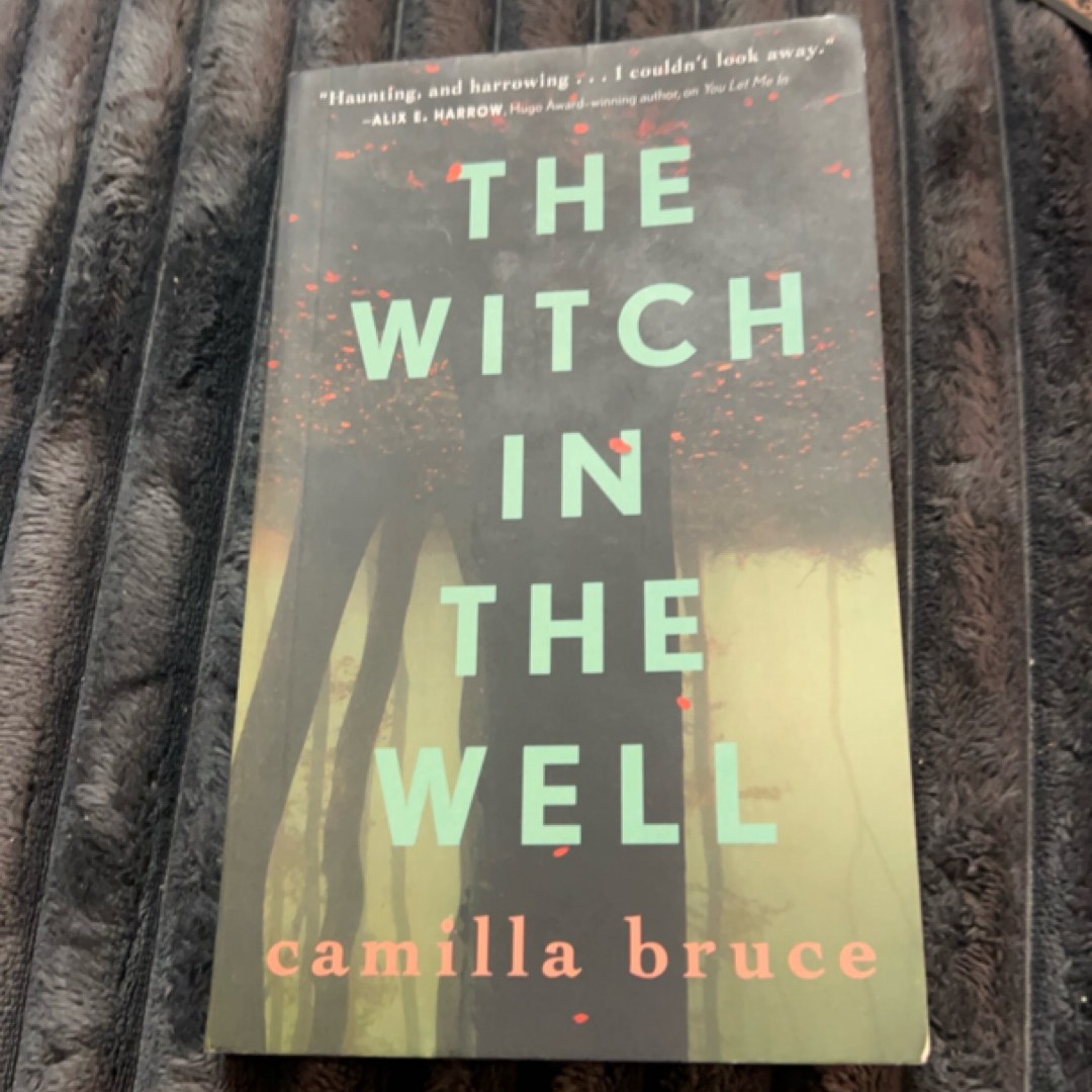The Witch in the Well