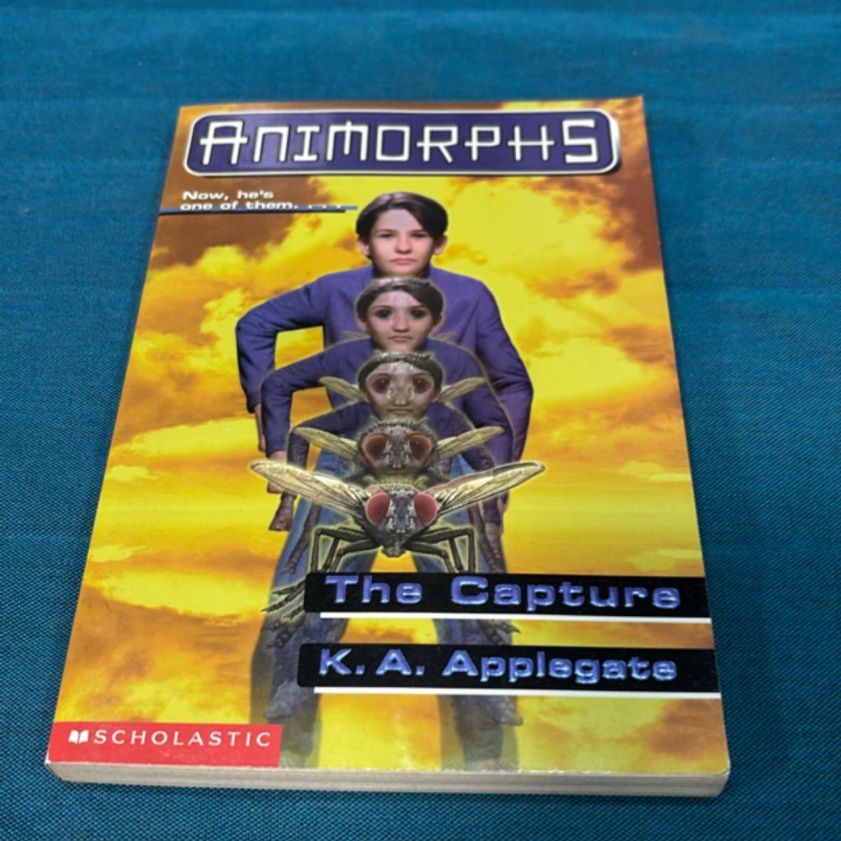 The Capture by K. A. Applegate