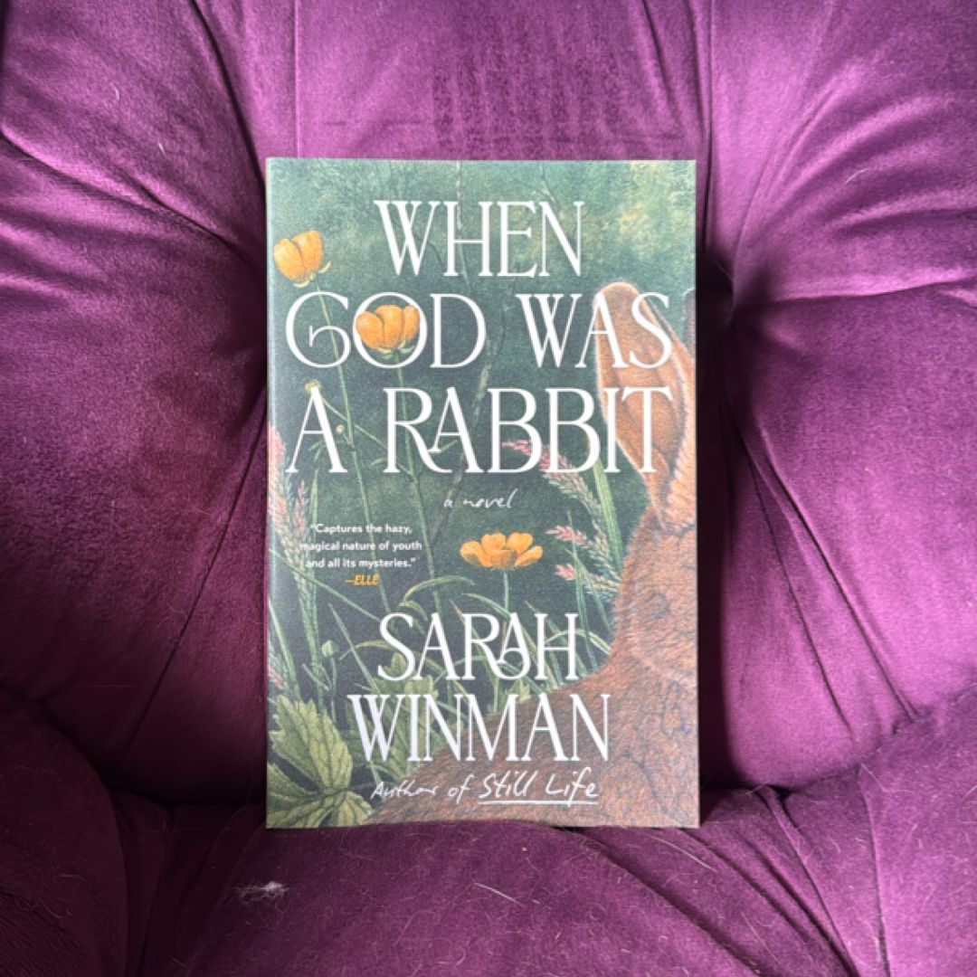 When God Was a Rabbit