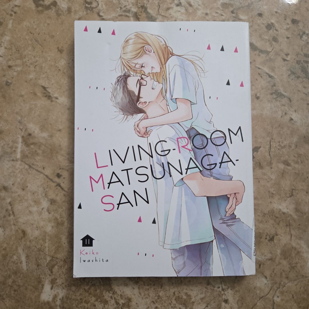Living-Room Matsunaga-San 11