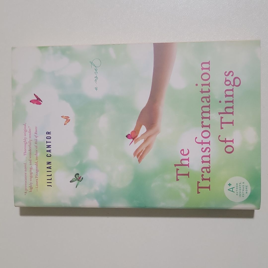 The Transformation of Things