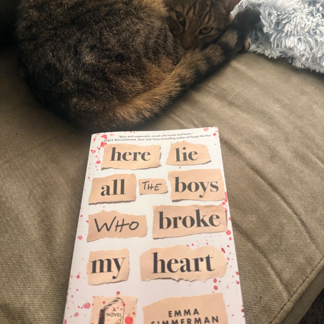 Here Lie All the Boys Who Broke My Heart