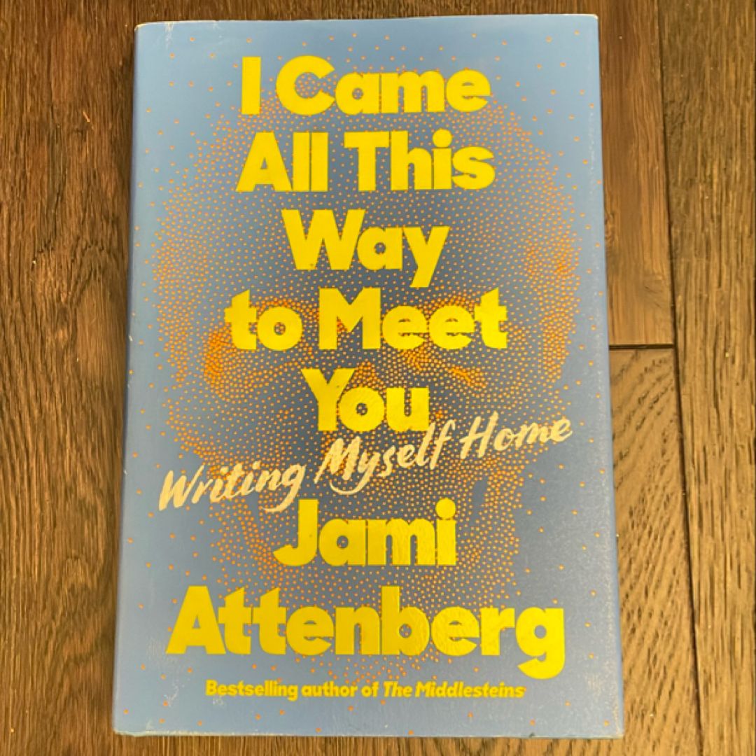 I Came All This Way to Meet You