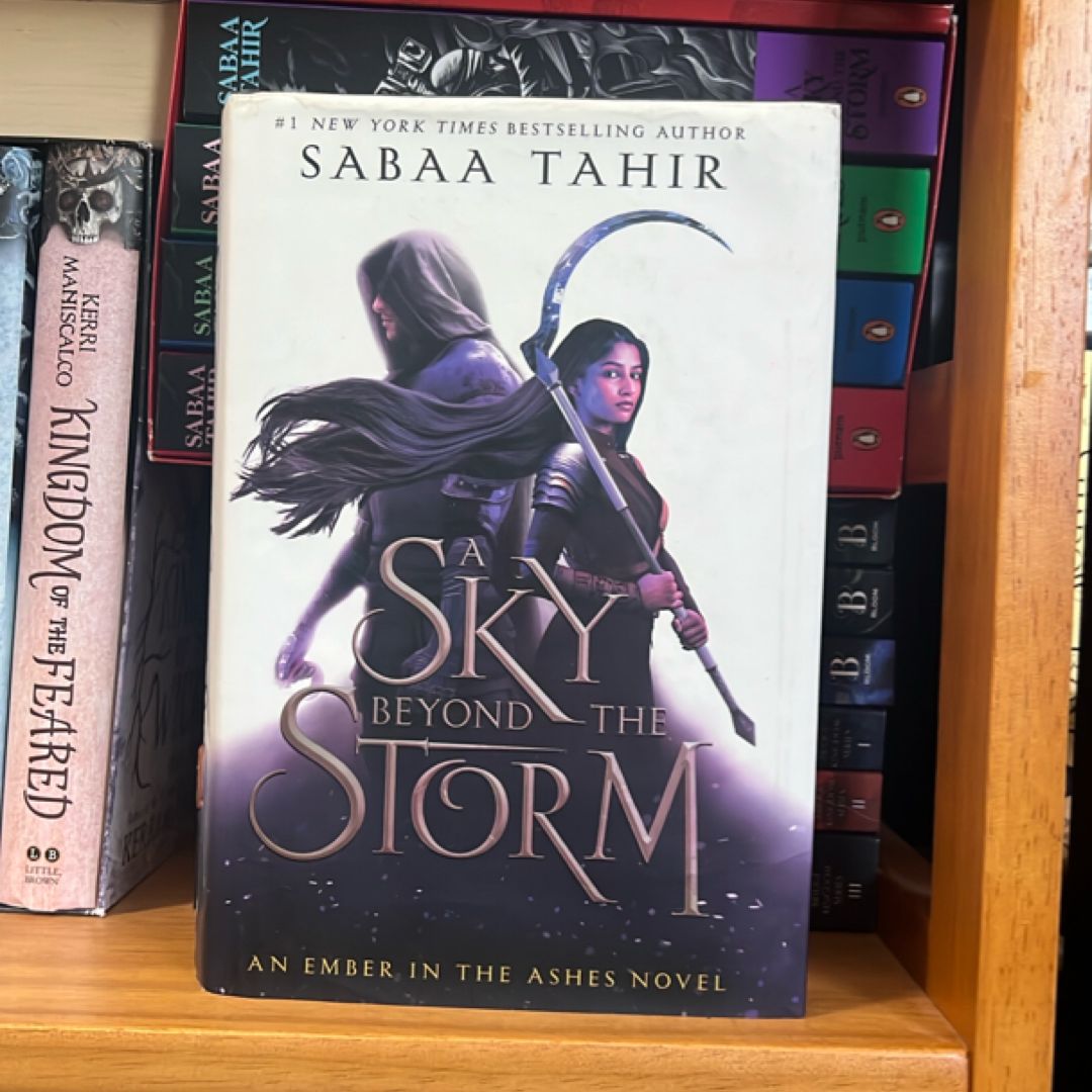 A Sky Beyond the Storm