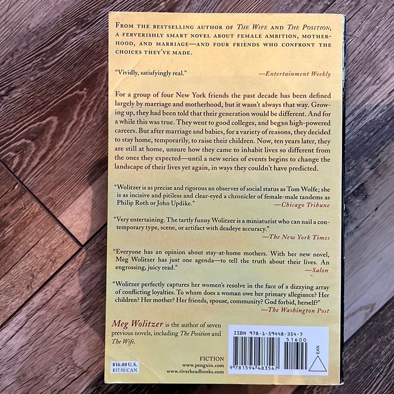 The TenYear Nap by Meg Wolitzer, Paperback Pangobooks