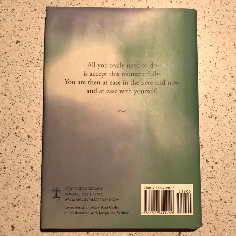 Practicing the Power of Now