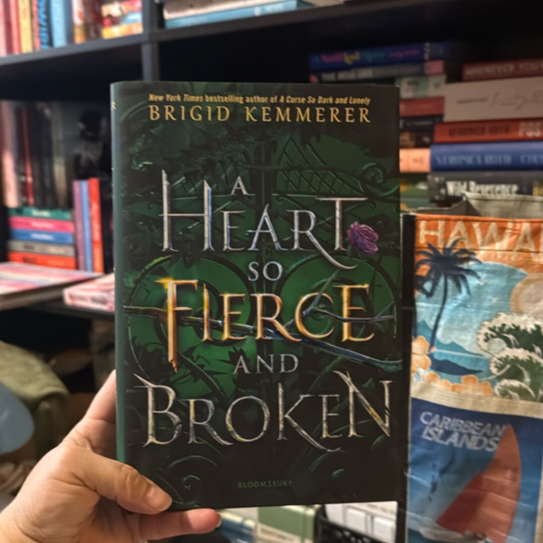 A Heart So Fierce and Broken