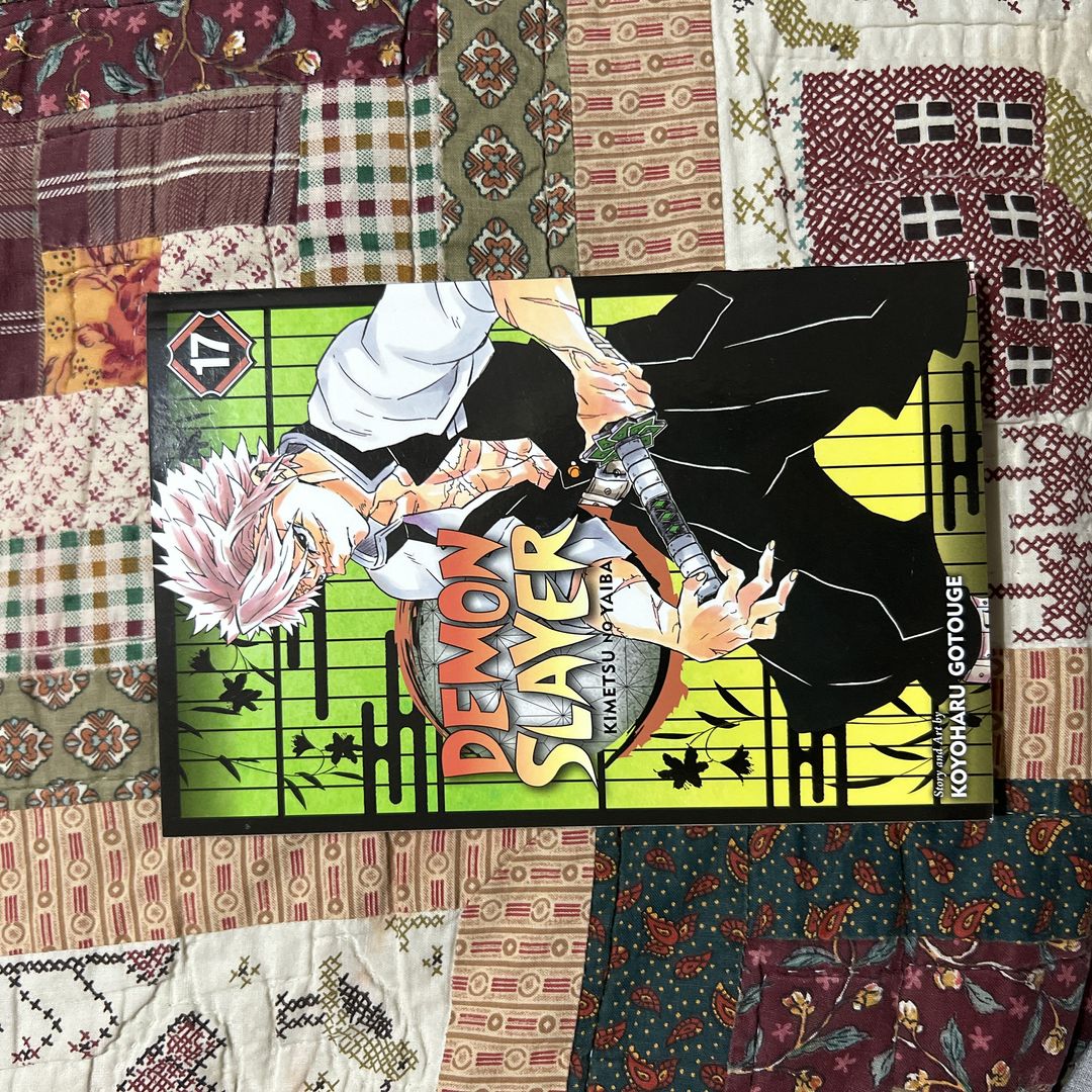 Demon Slayer: Kimetsu No Yaiba, Vol. 17