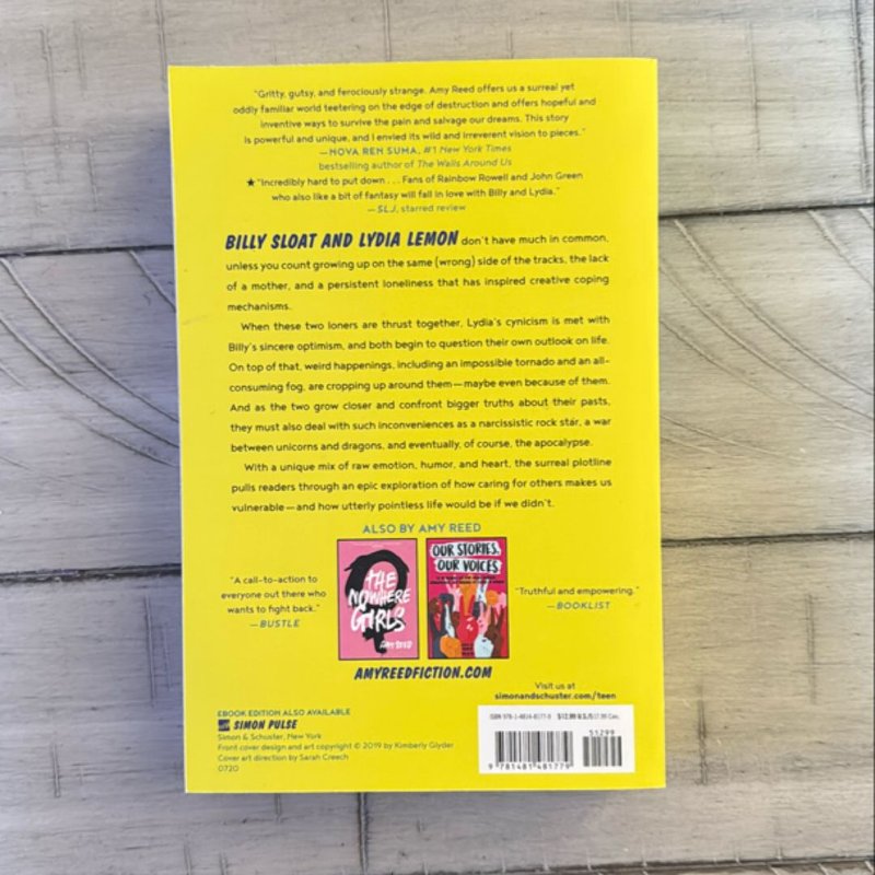 The Boy and Girl Who Broke the World by Amy Reed, Paperback | Pangobooks