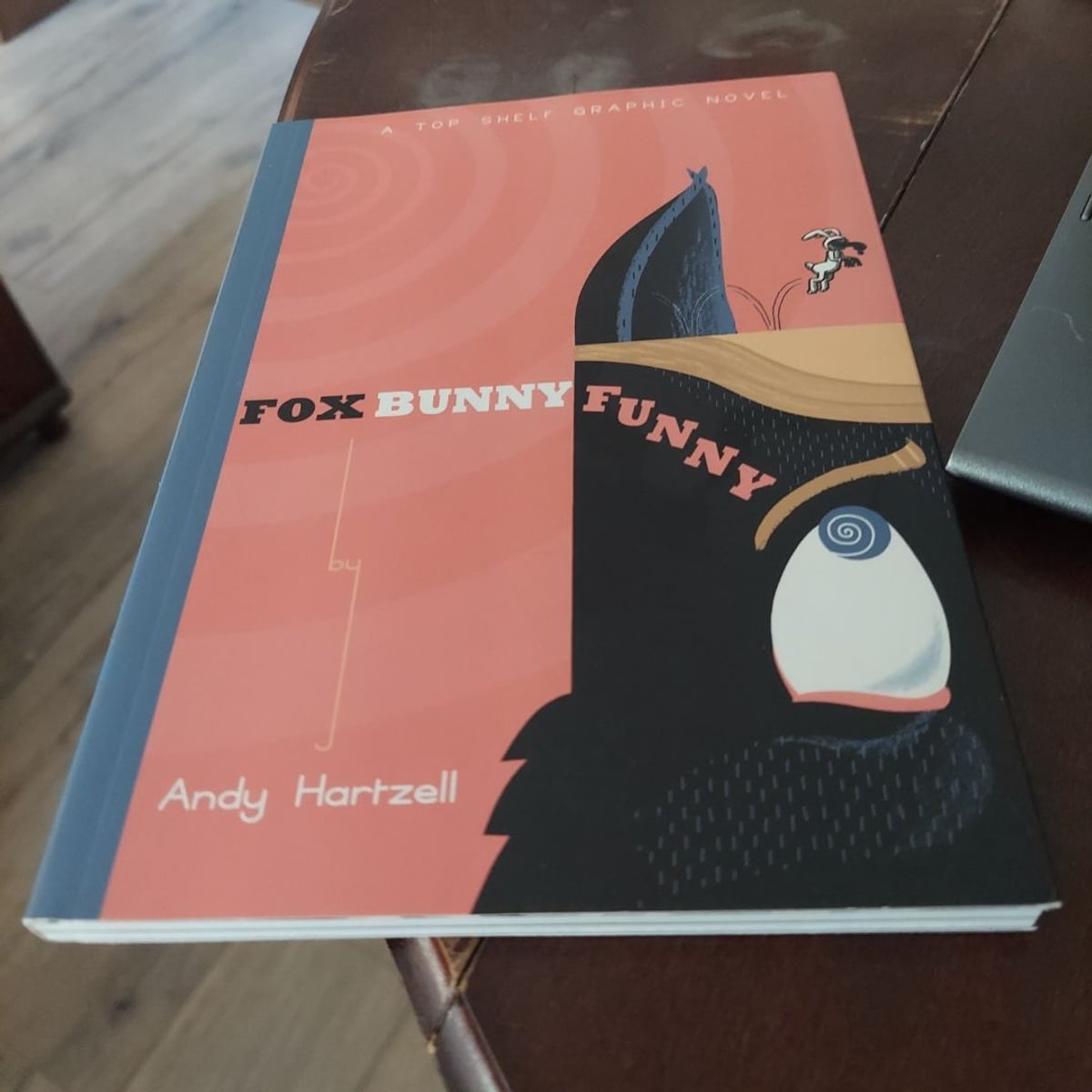Fox Bunny Funny by Andy Hartzell