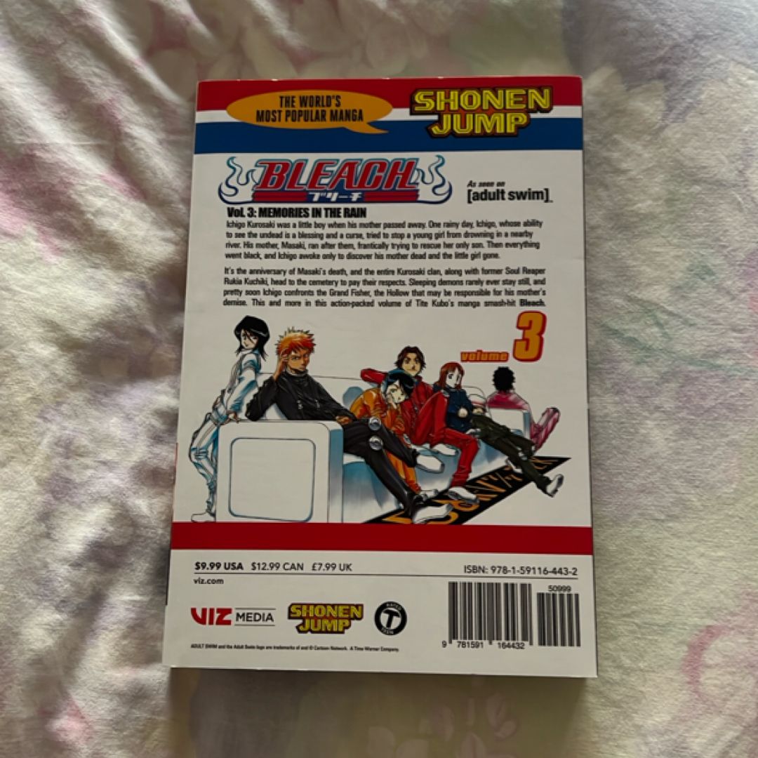 Bleach, Vol. 3