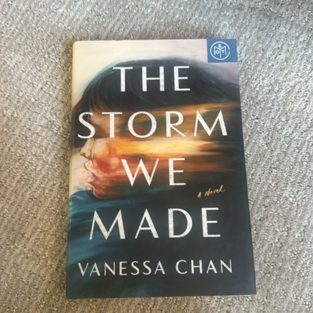 The Storm We Made