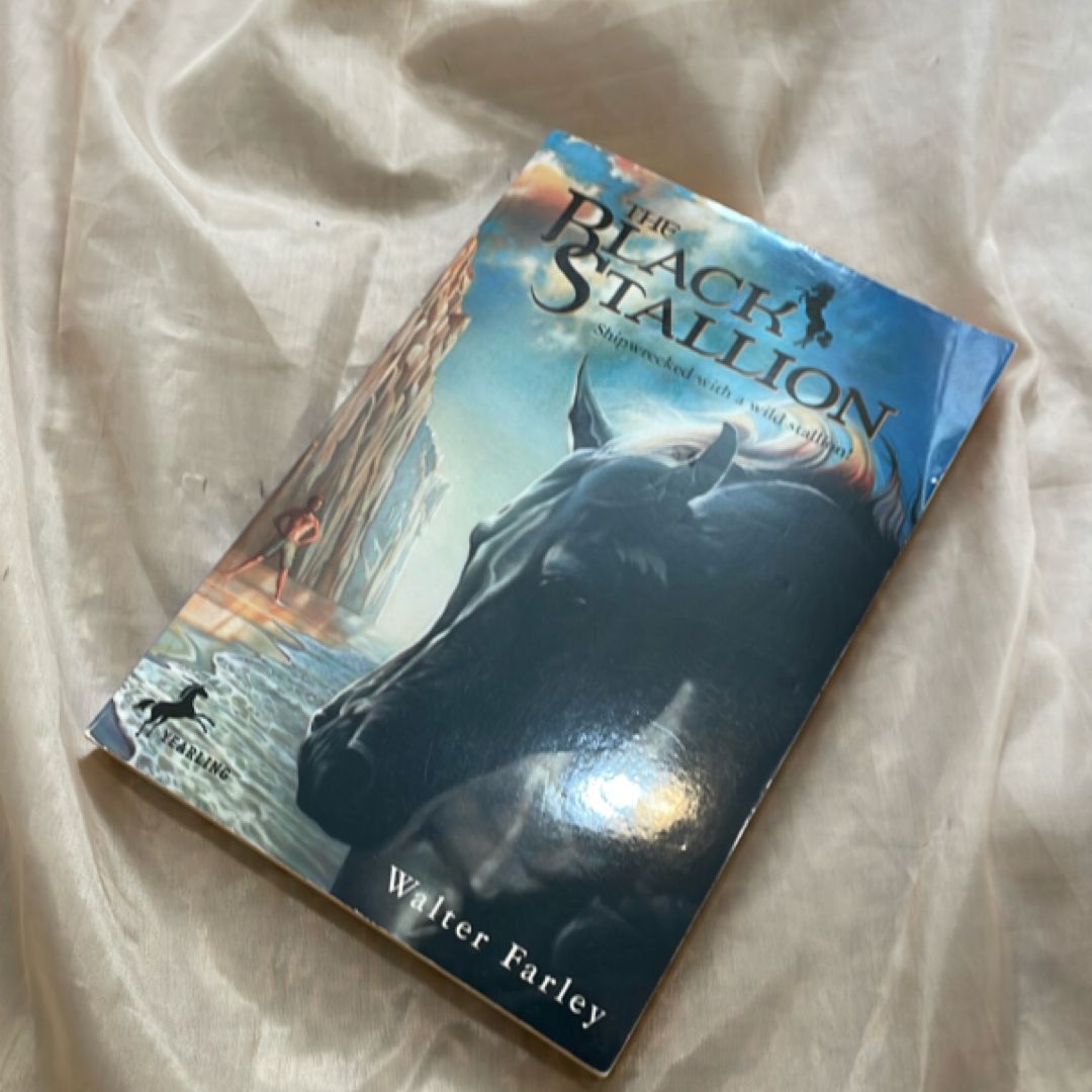 The Black Stallion