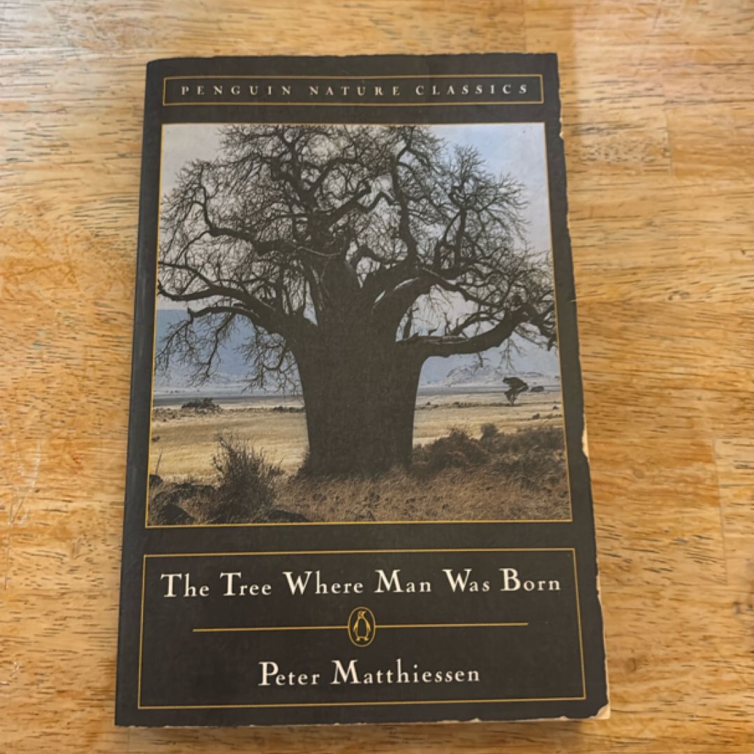 The Tree Where Man Was Born