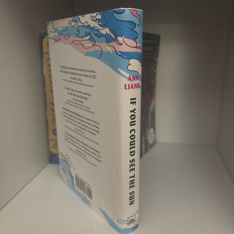 If You Could See the Sun