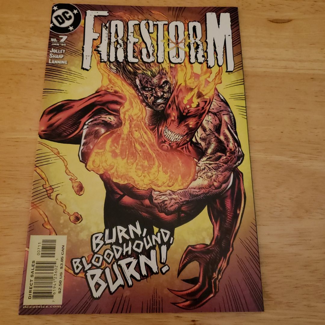 Firestorm # 7 (2005)