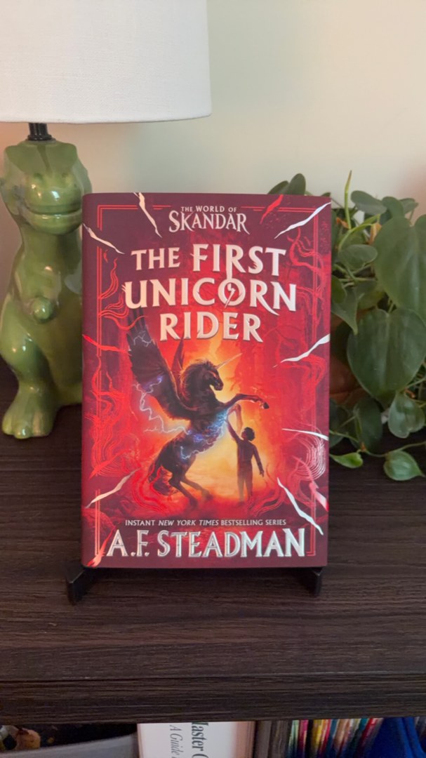 The First Unicorn Rider