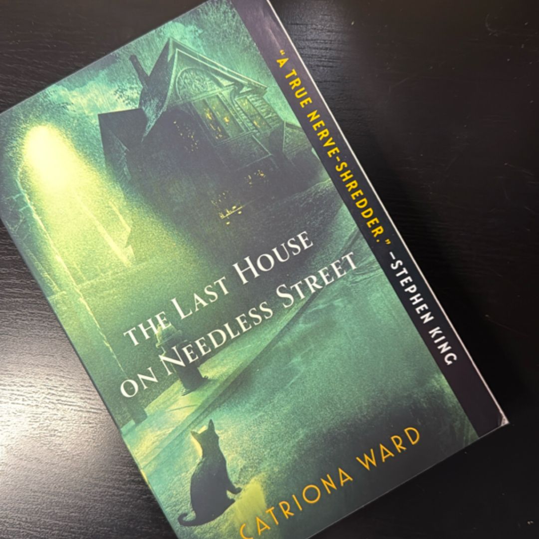 The Last House on Needless Street