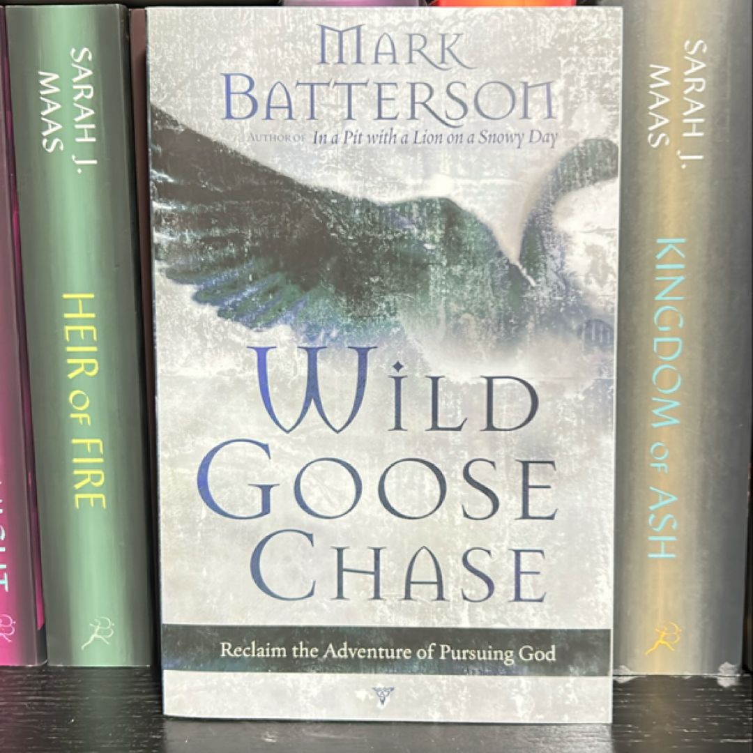 Wild Goose Chase
