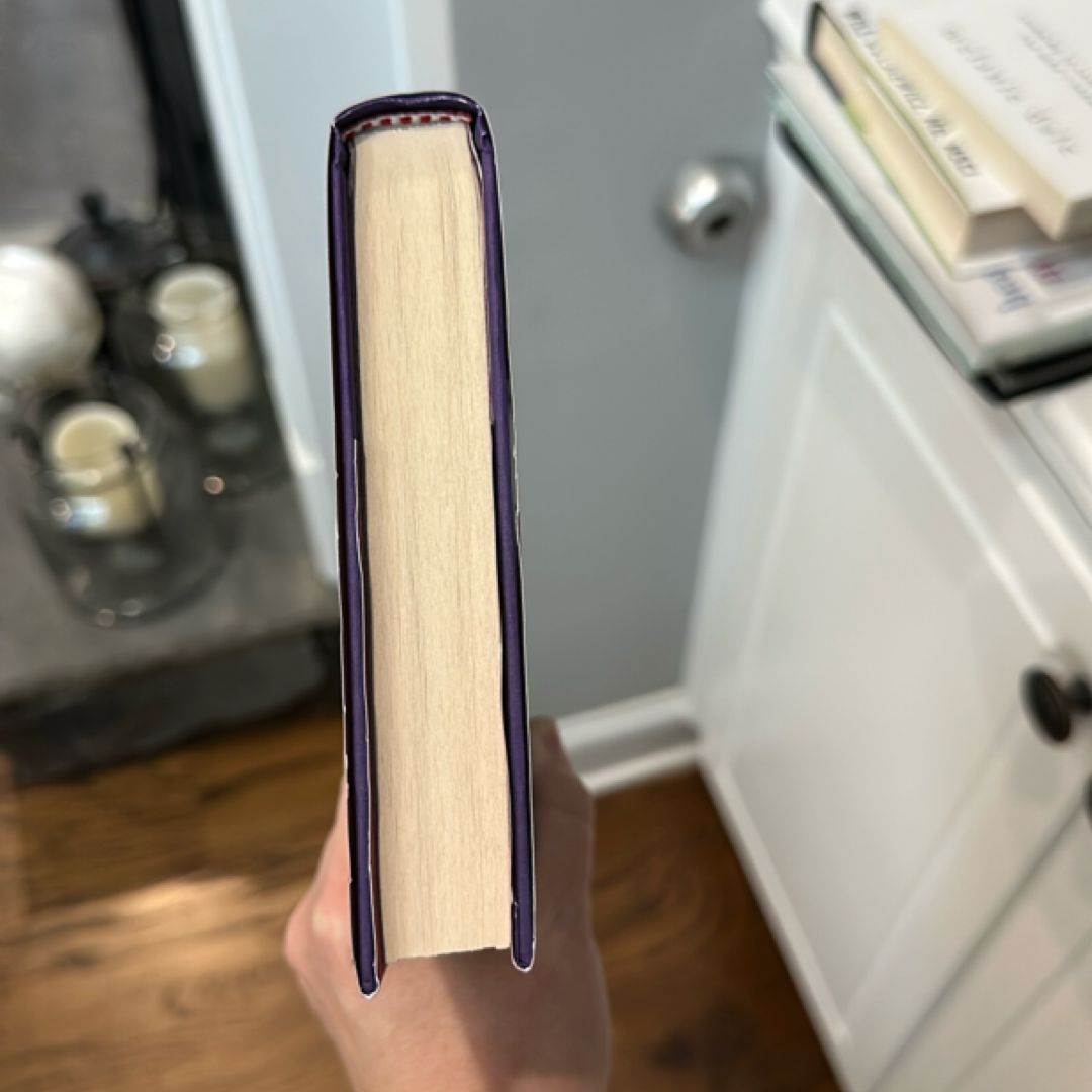 When We Flew Away: a Novel of Anne Frank Before the Diary