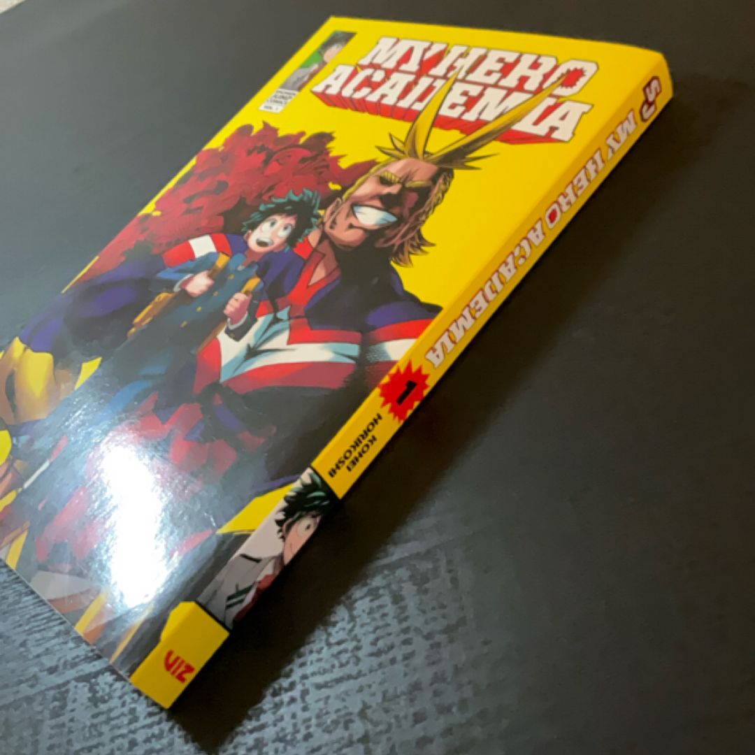 My Hero Academia, Vol. 1